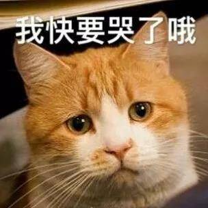 微信图片_20190823113352.jpg