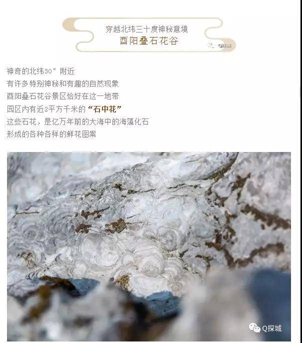 微信图片_20191016092625.jpg