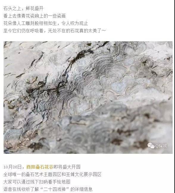 微信图片_20191016092628.jpg