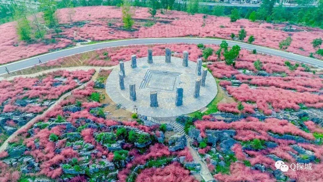 微信图片_20191016092633.jpg