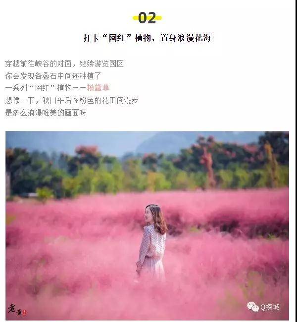 微信图片_20191016092711.jpg