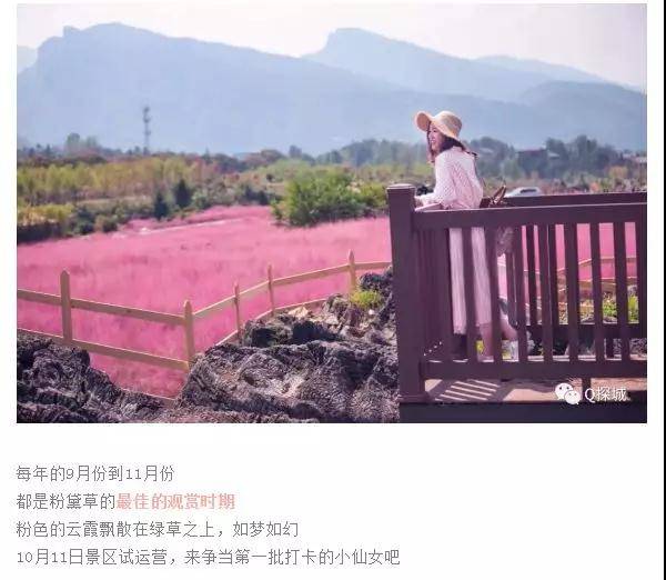 微信图片_20191016092714.jpg