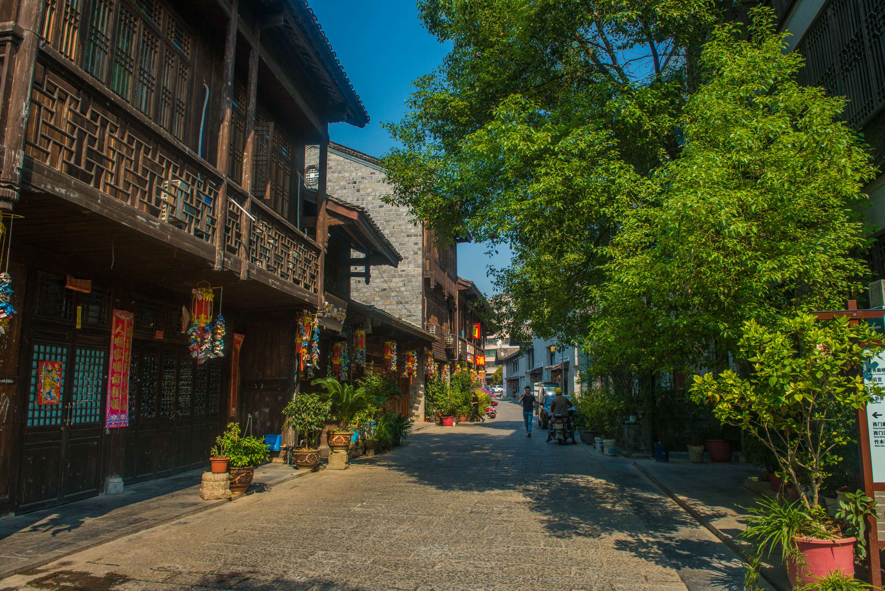 DSC_2630.jpg