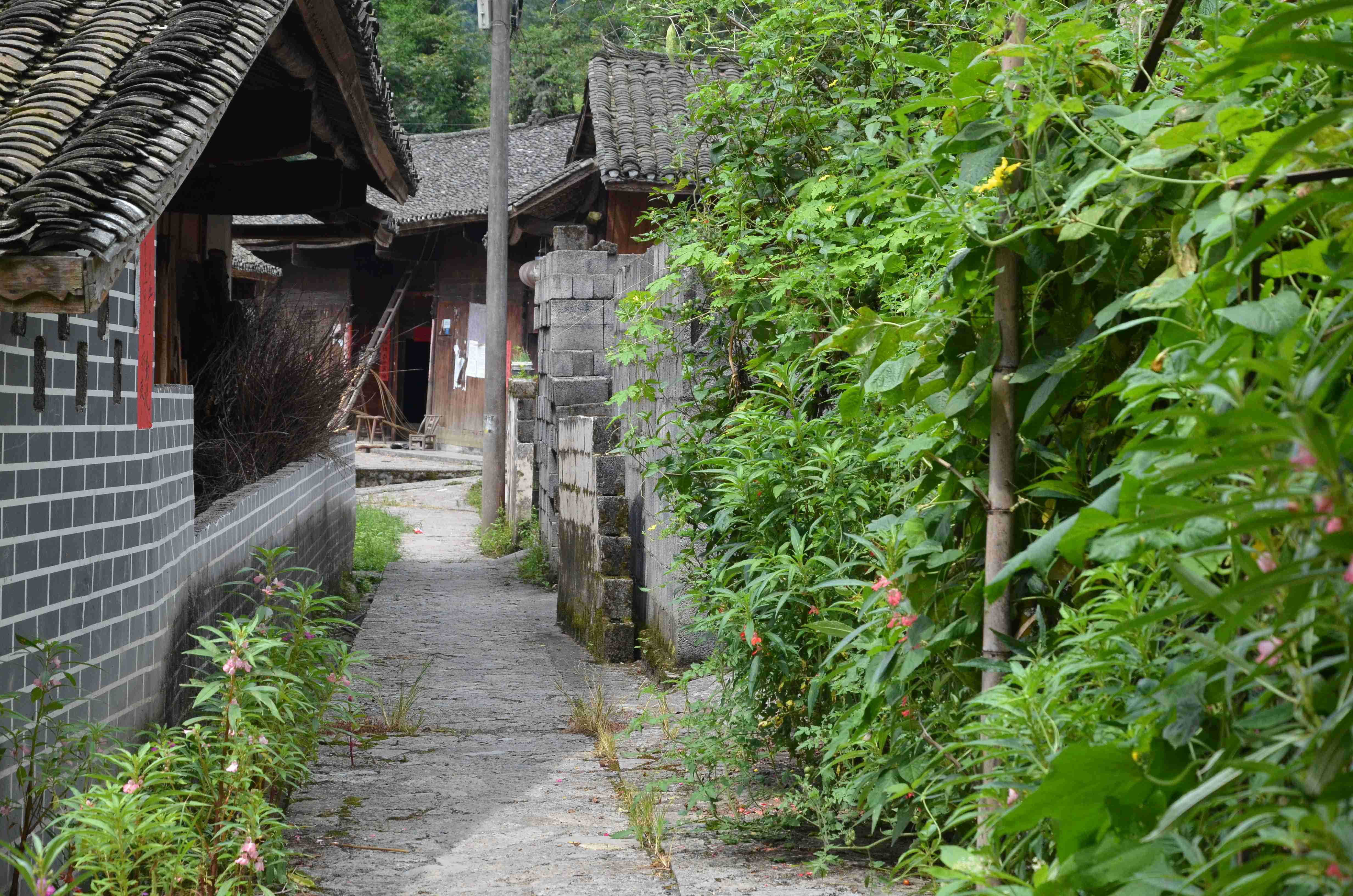 DSC_5785 - 副本.jpg
