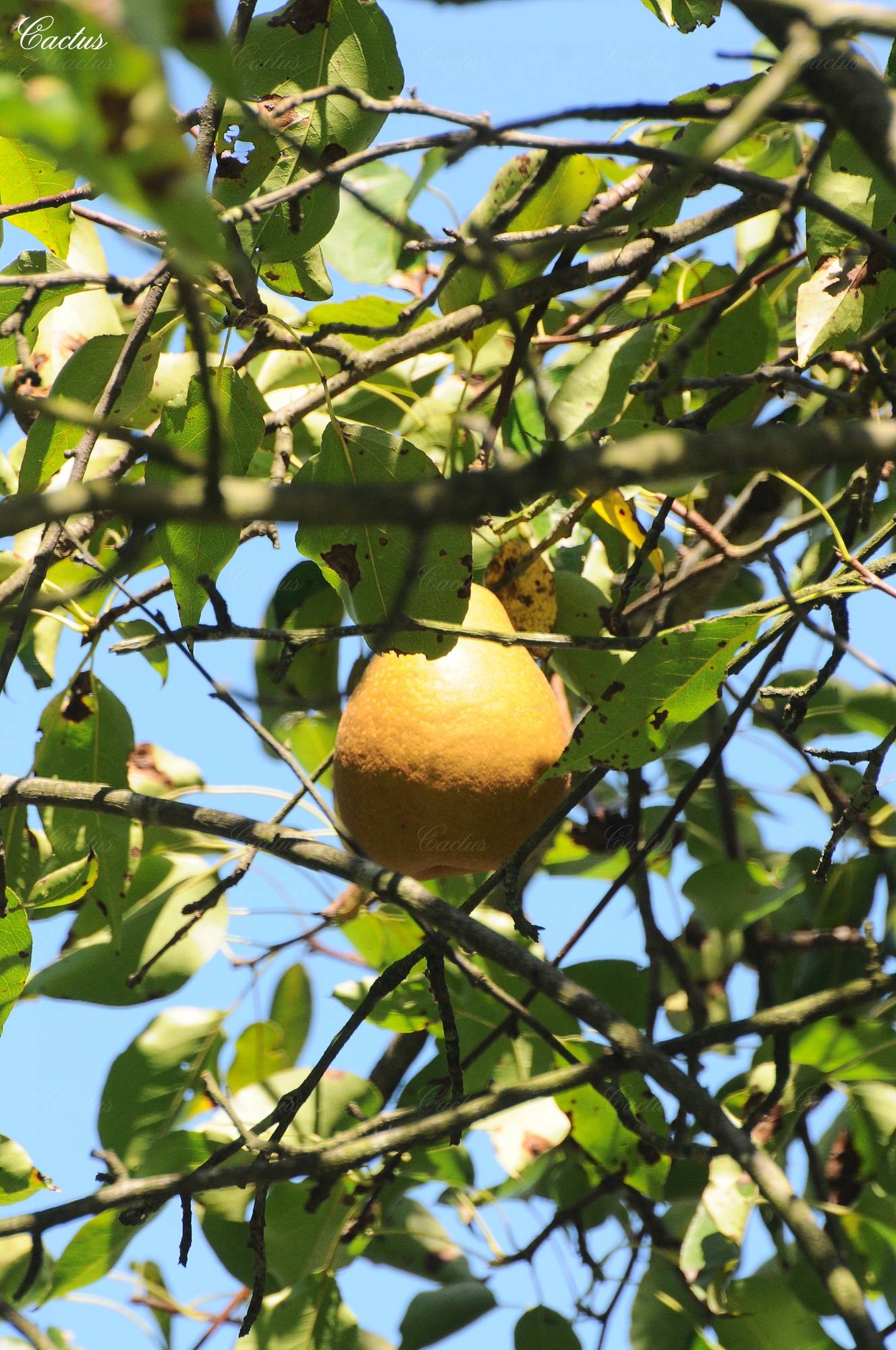 DSC_6689.jpg