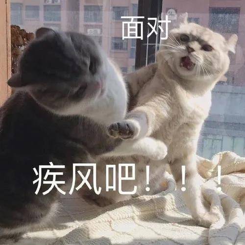 微信图片_20201011100855.jpg