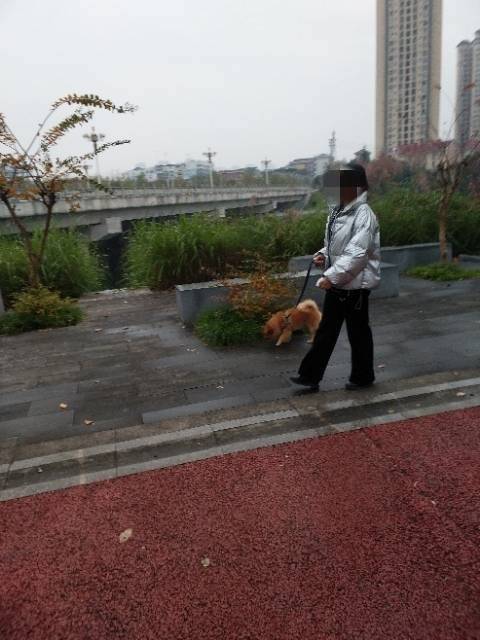 微信图片_20201027092231_副本.jpg