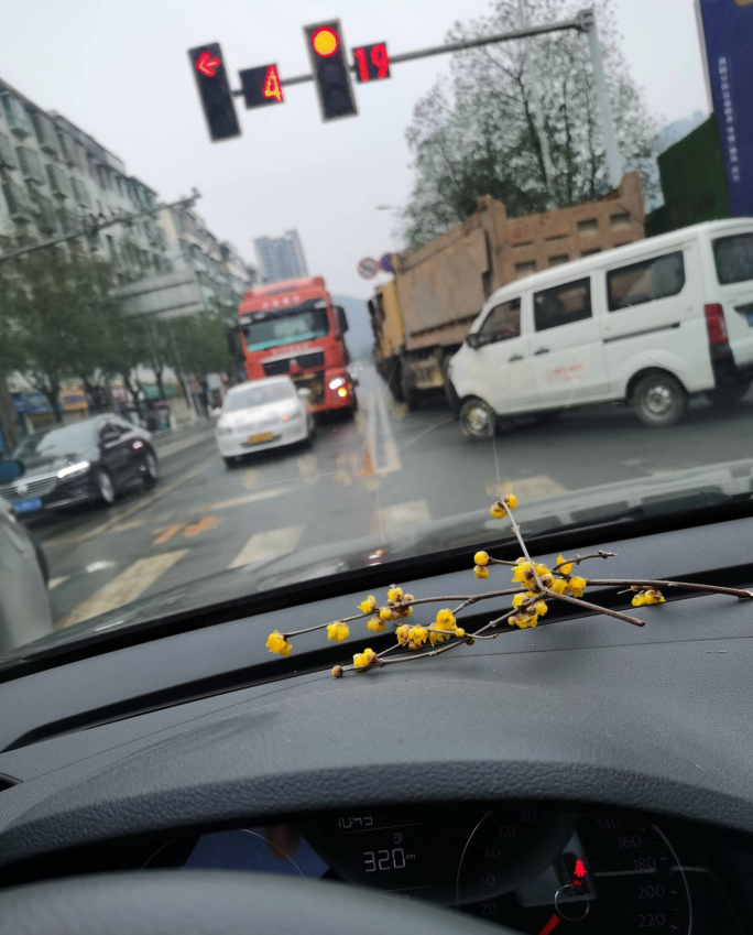 微信图片_20210103134912.png