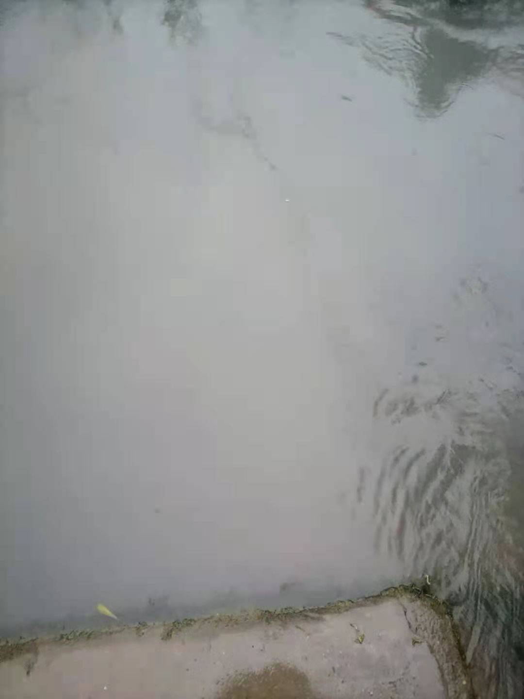 微信图片_20210121112620.jpg